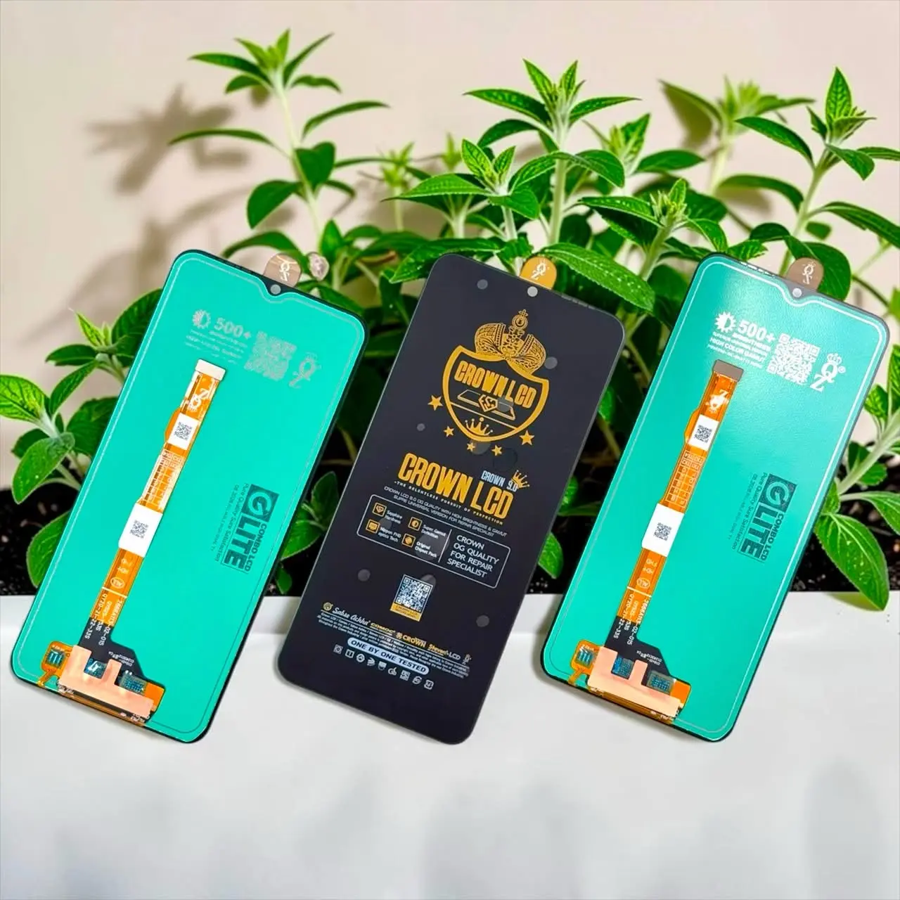 CROWN 👑 👑 ORIGINAL 👑8.0  500+ 👑 👑 - Image 1